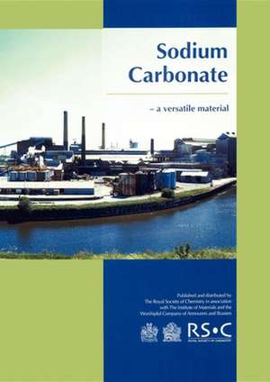 Sodium Carbonate: A Versatile Material de Ted Lister