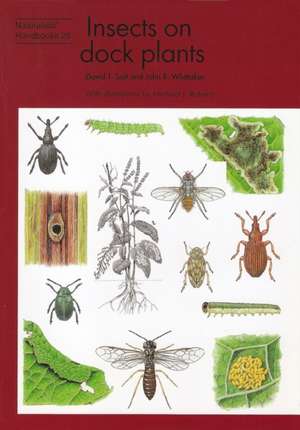 Insects on Dock Plants de John B. Whittaker