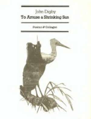 To Amuse a Shrinking Sun de John Digby