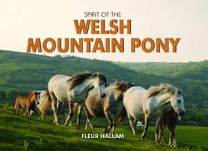 Hallam, F: Spirit of the Welsh Mountain Pony de Fleur Hallam