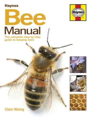 Bee Manual – The complete step–by–step guide to keeping bees de Claire Waring