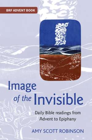 Image of the Invisible de Amy Scott Robinson