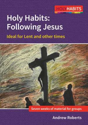 Holy Habits: Following Jesus de Andrew Roberts