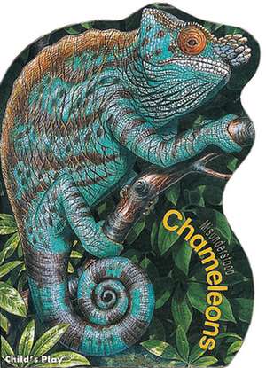 Chameleons de Sue Baker