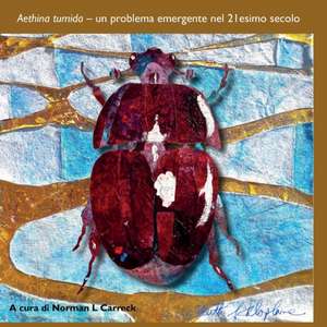 Aethina tumida de Norman L Carreck