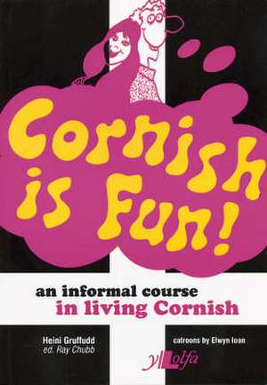 Cornish Is Fun de Heini Gruffudd