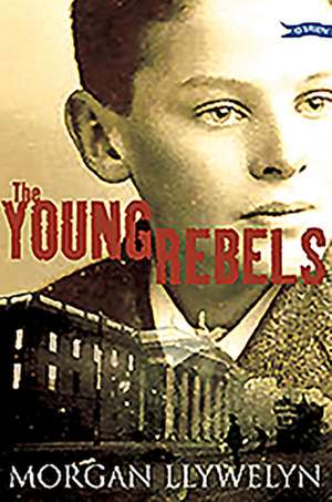 The Young Rebels de Morgan Llywelyn