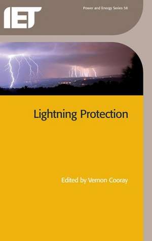 Lightning Protection de Vernon Cooray