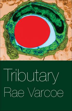 Tributary de Rae Varcoe