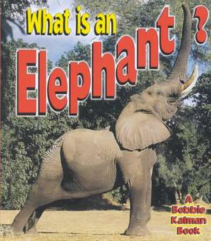 What Is an Elephant? de Bobbie Kalman