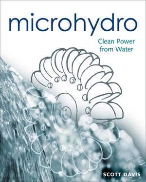 Microhydro: Clean Power from Water de Scott Davis