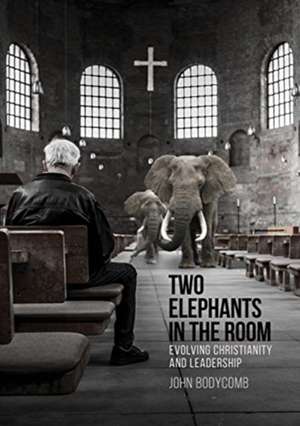 Two Elephants in the Room de John Bodycomb