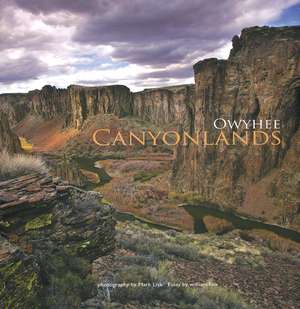 Owyhee Canyonlands de William Fox