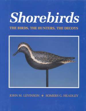 Shorebirds de John M. Levinson