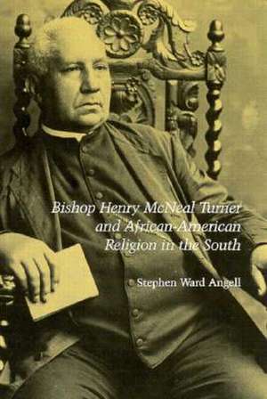 Bishop Henry McNeal Turner and African-American Religion in the South de Stephen Ward Angell