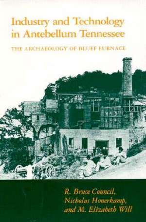 Industry and Technology in Antebellum Tennessee: The Archaeology of Bluff Furnace de R. Bruce Council