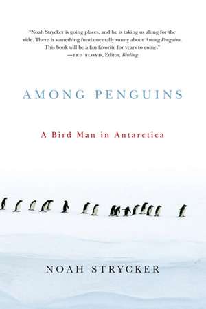 Among Penguins: A Bird Man in Antarctica de Noah Strycker