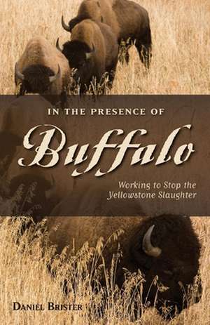 In the Presence of Buffalo: Working to Stop the Yellowstone Slaughter de Daniel Brister