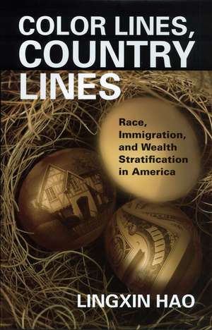 Color Lines, Country Lines: Race, Immigration, and Wealth Stratification in America de Lingxin Hao