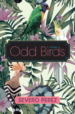 Odd Birds de Severo Perez