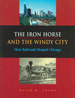 The Iron Horse and the Windy City: How Railroads Shaped Chicago de David M. Young