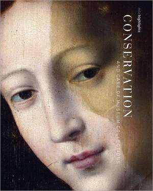 Conservation: MFA Highlights