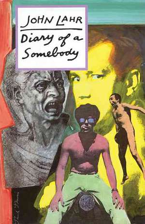 Diary of a Somebody de John Lahr