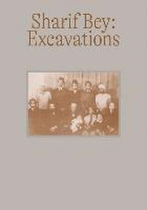 Sharif Bey: Excavations