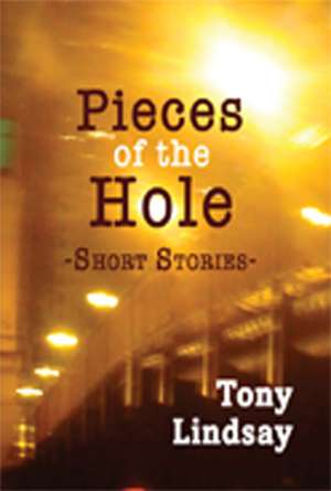 Pieces of the Hole: Short Stories de Tony Lindsay