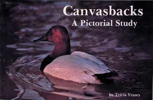 Canvasbacks de T. Veasey