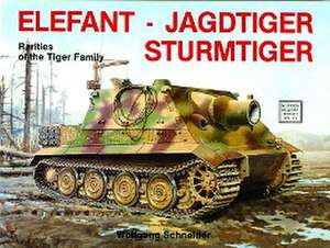 Elefant - Jagdtiger - Sturmtiger de Wolfgang Schneider