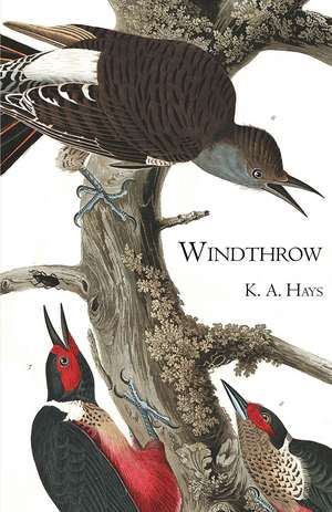 Windthrow de K. A. Hays