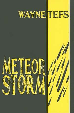 Meteor Storm de Wayne Tefs