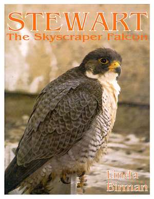 Stewart: The Skyscraper Falcon de Linda Birman