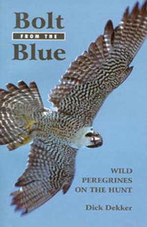 Bolt from the Blue: Wild Peregrines on the Hunt de Dick Dekker