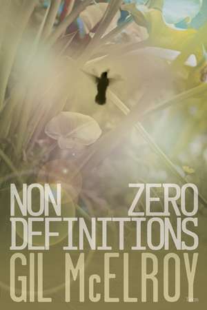 Nonzero Definitions: Poems 1970-2000 de Gil McElroy