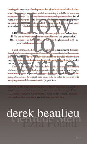 How to Write de Derek Beaulieu