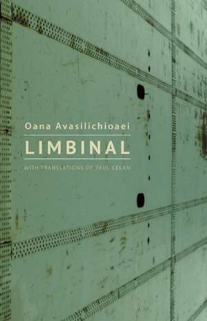 Limbinal: Rose and the Archipelago of Shifting Memories de Oana Avasilichioaei