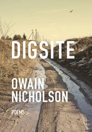 Digsite de Owain Nicholson