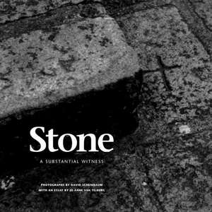 Stone: A Substantial Witness: A Substantial Witness de David Scheinbaum