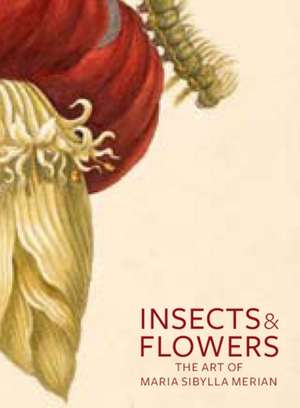 Insects and Flowers: The Art of Maria Sibylla Merian de David Brafman