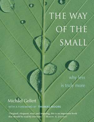 The Way of the Small: Why Less Is Truly More de Michael Gellert