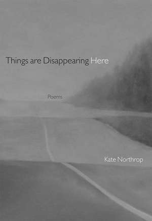 Things Are Disappearing Here – Poems de Kate Northrop