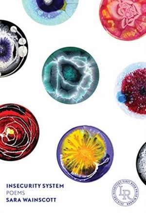 Insecurity System de Sara Wainscott