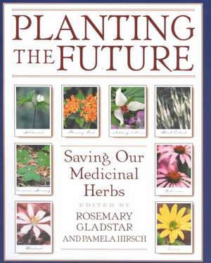 Planting the Future: Saving Our Medicinal Herbs de Rosemary Gladstar