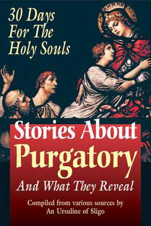 Stories about Purgatory: And What They Reveal de An Ursiline of Sligo