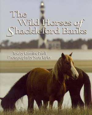 The Wild Horses of Shackleford Banks de Carmine Prioli