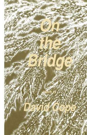 On the Bridge de David Cope