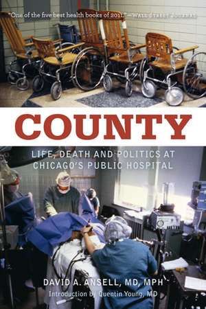 County: Life, Death, and Politics at Chicago's Public Hospital de Dr. David Ansell M.D.