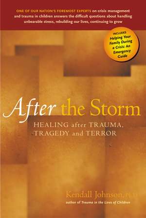 After the Storm de Kendall Johnson